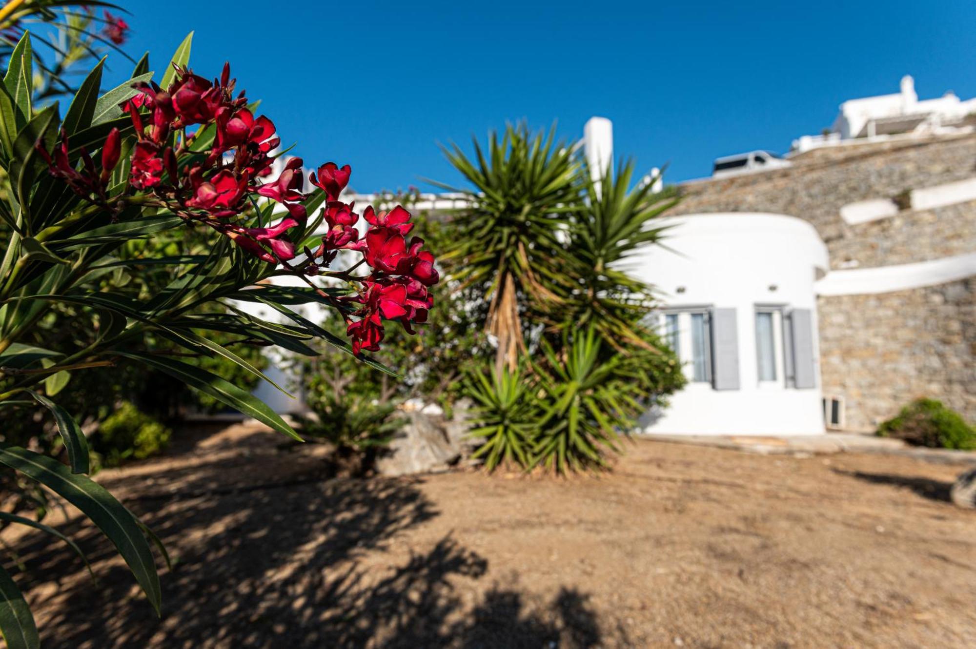 9 Muses Villas Mykonos Ornos  Cameră foto