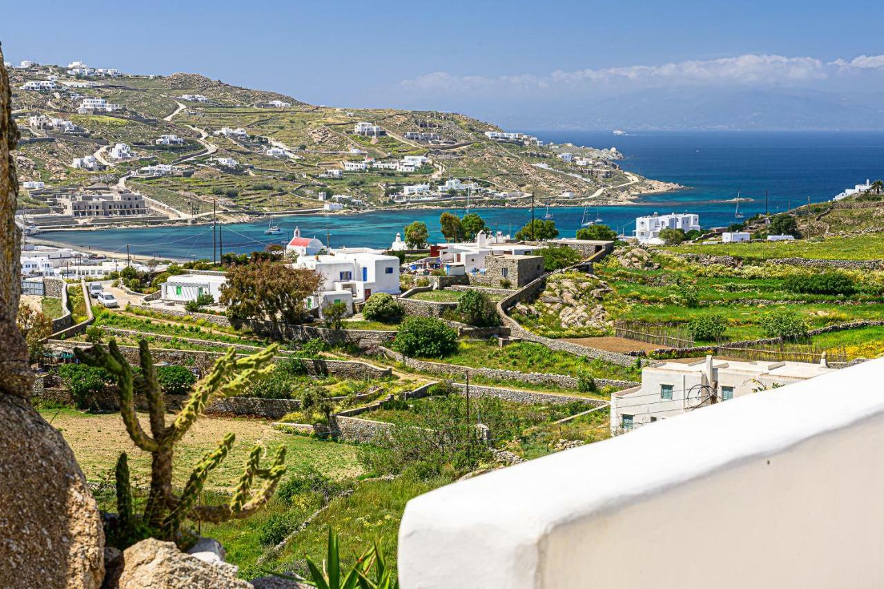 9 Muses Villas Mykonos Ornos  Exterior foto